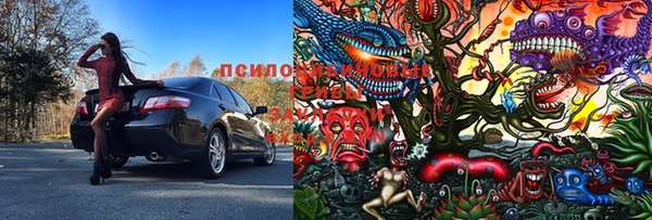дурь Бугульма